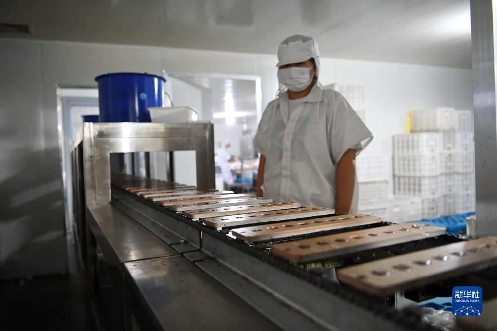 噢门永利总站 下载